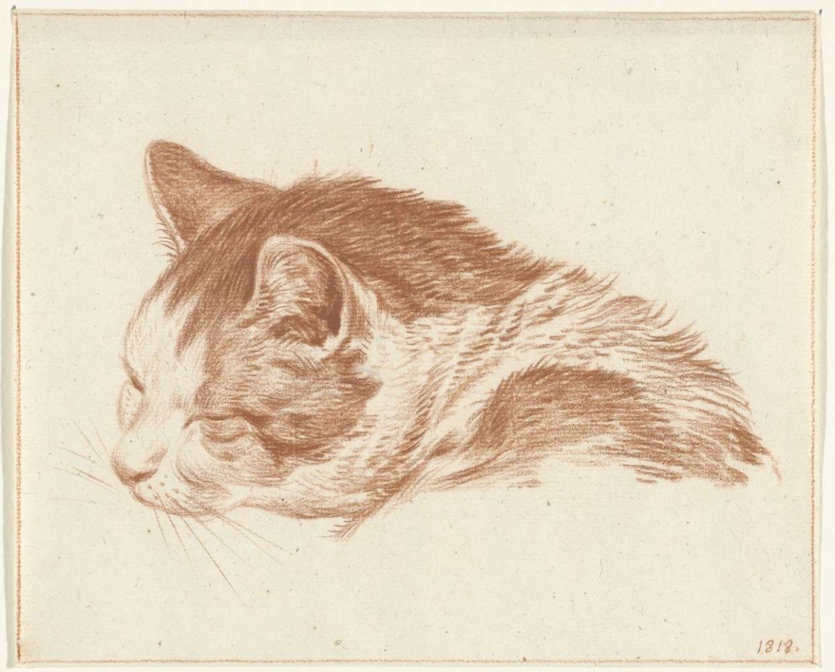 Head of a sleeping cat, Jean Bernard, 1818