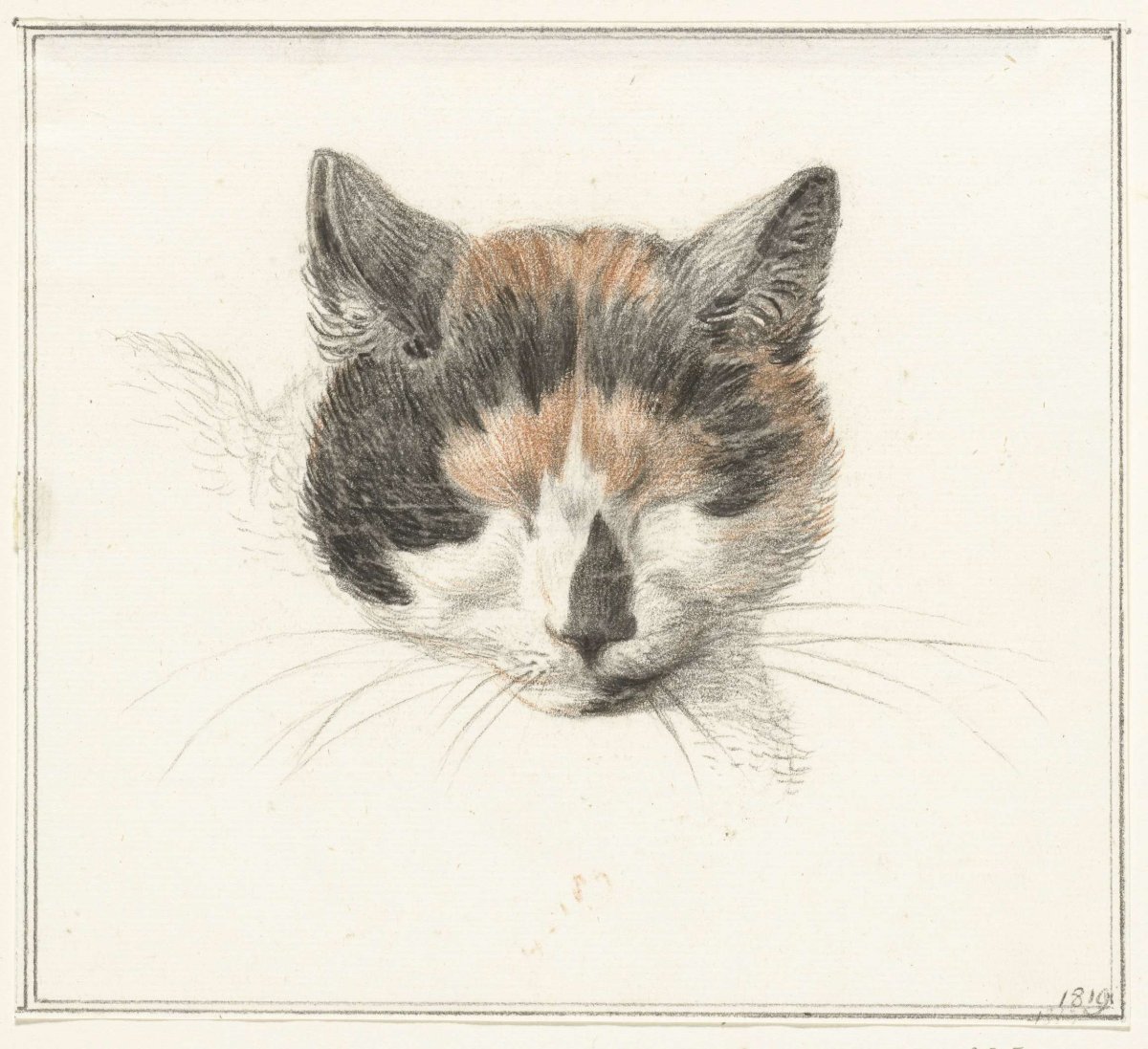 Head of a lap cat, from the front, with eyes closed, Jean Bernard, 1819