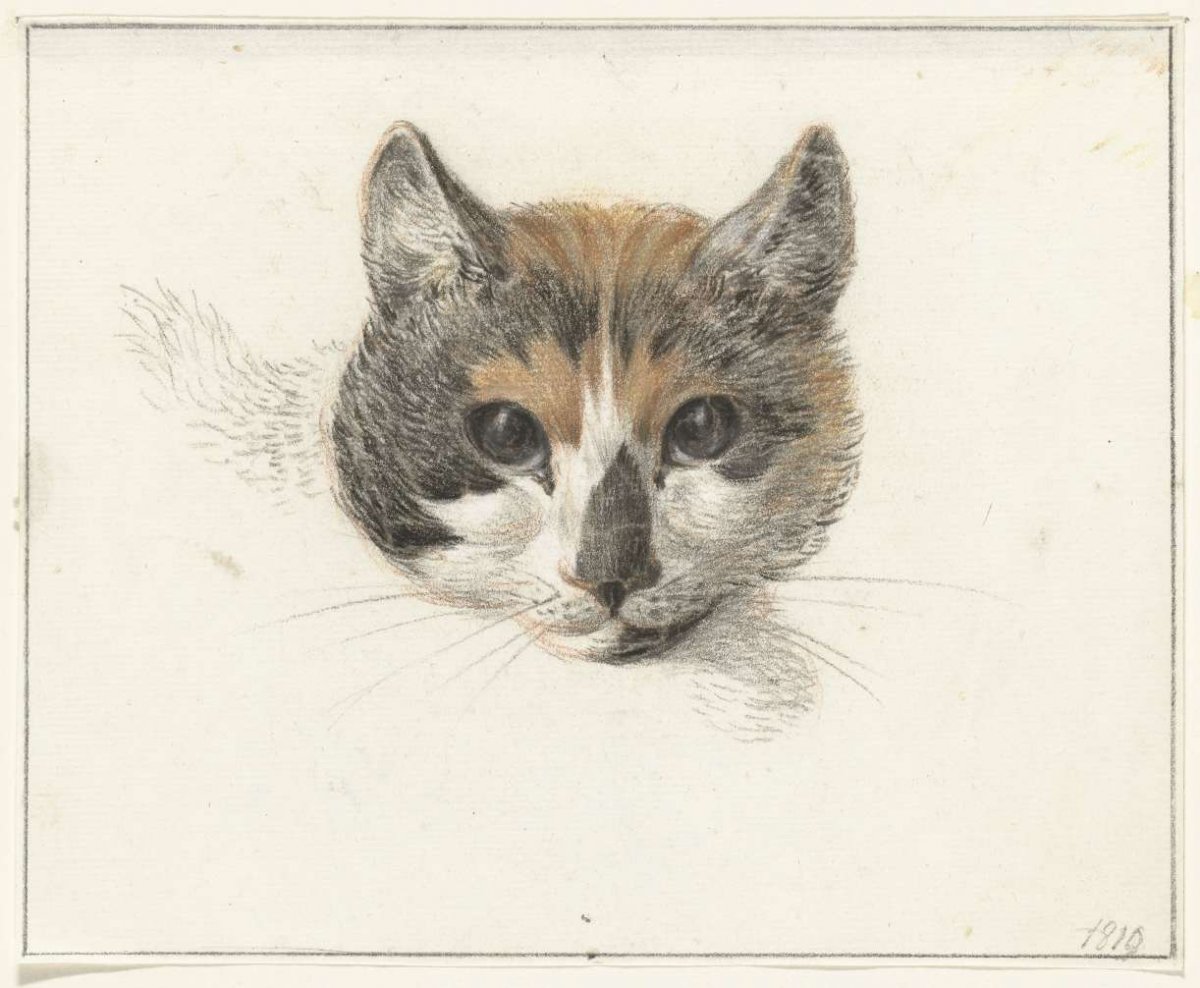 Head of a lap cat, from the front, with eyes open, Jean Bernard, 1819