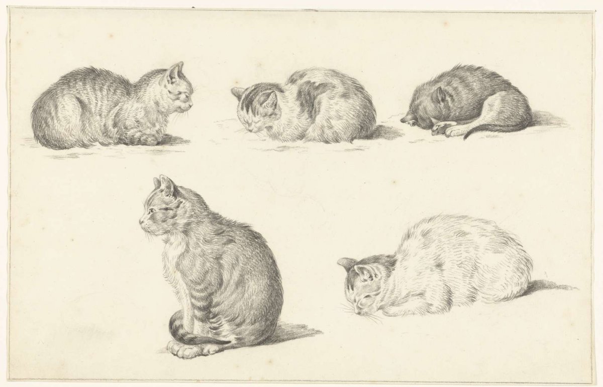 Fives Studies of Cats, Jean Bernard, c. 1812
