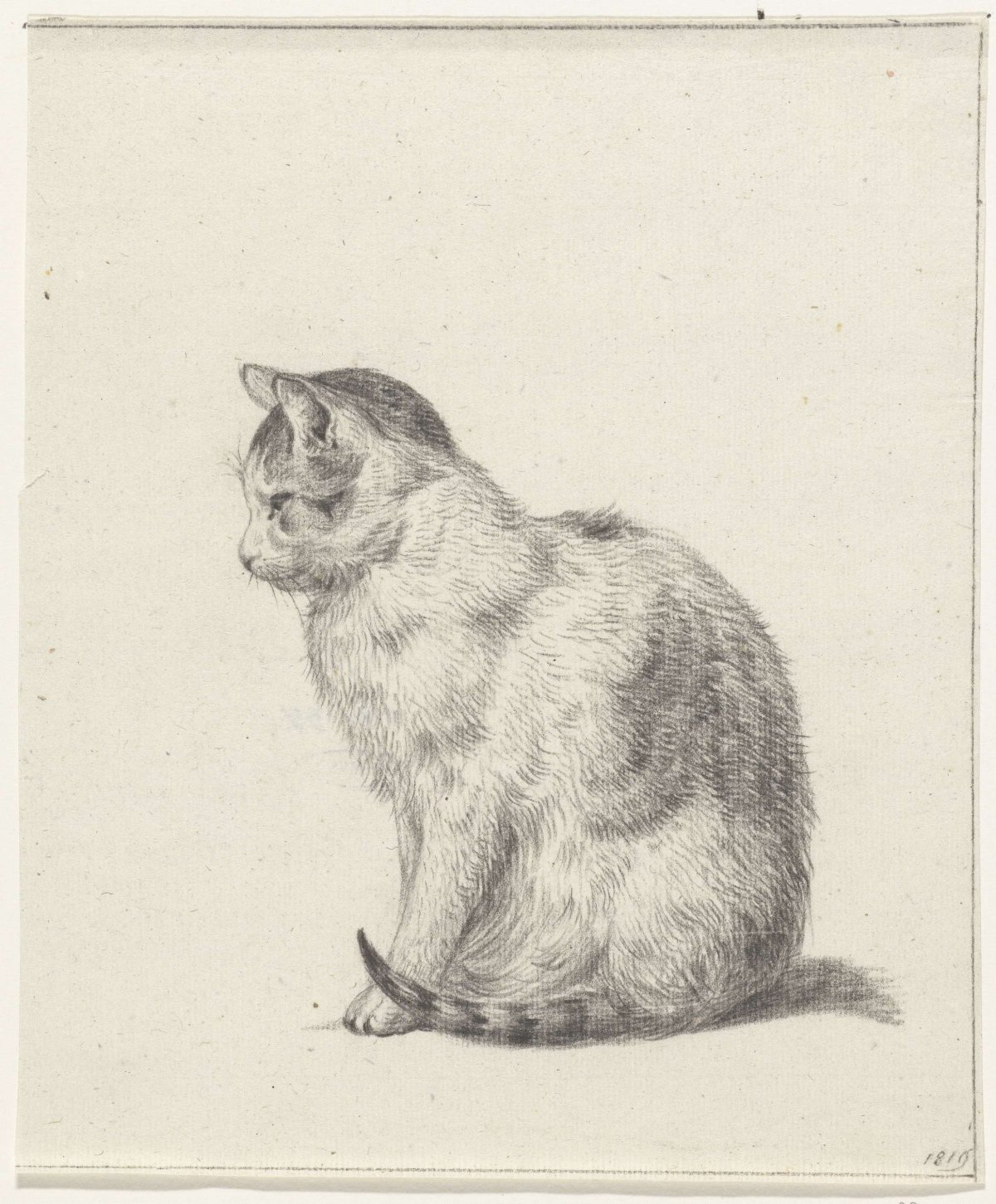 Sitting cat, facing left, Jean Bernard, 1819
