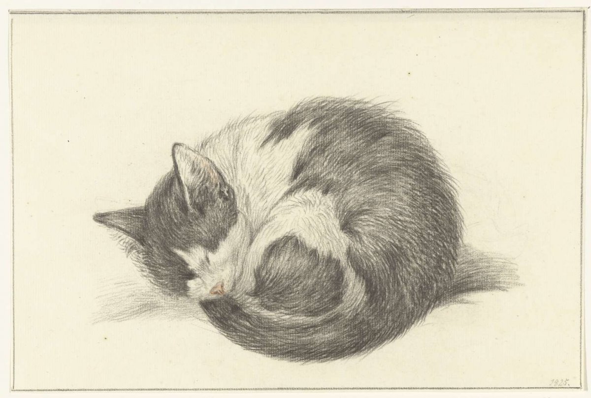 Opgerold liggende, slapende kat, Jean Bernard, 1825
