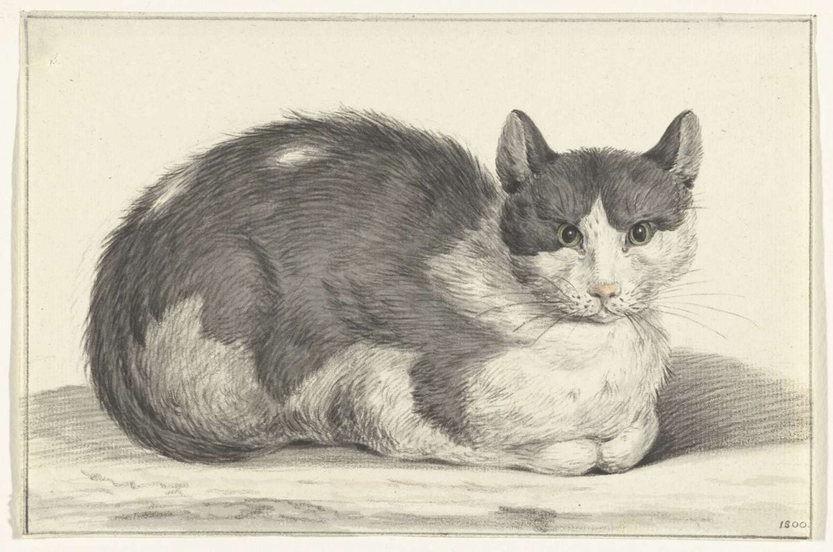 Reclining cat, to the right, Jean Bernard, 1800