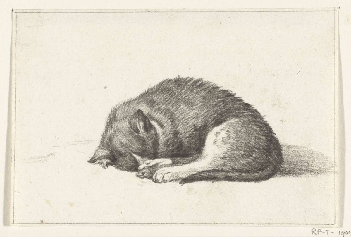 Opgerold liggende, slapende kat, Jean Bernard, 1775 - 1833