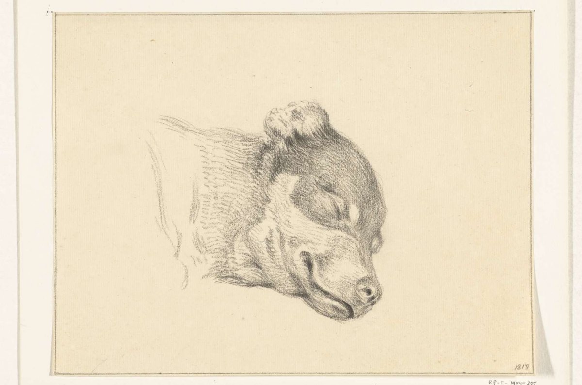Head of a sleeping dog, Jean Bernard, 1818