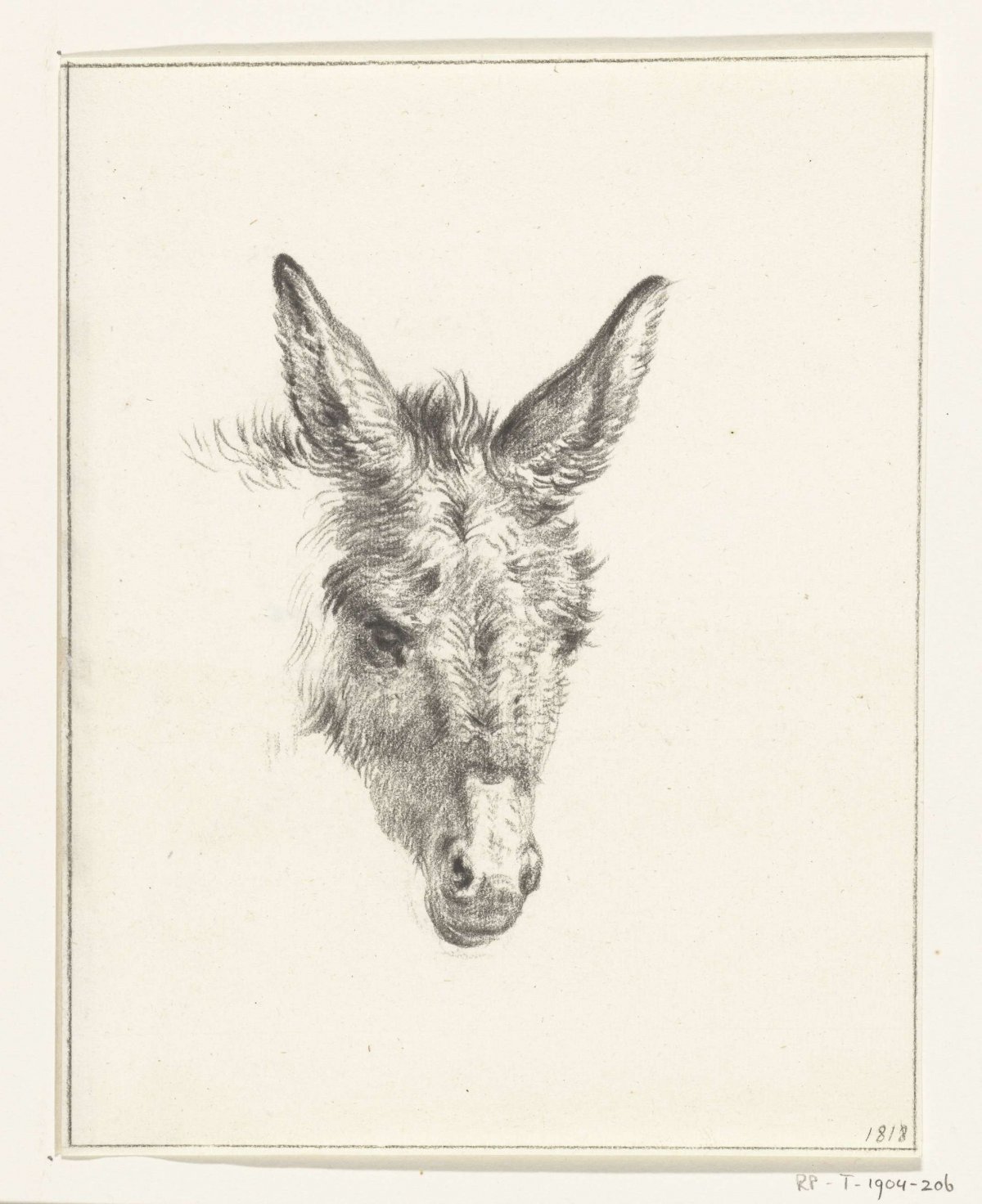 Head of a donkey, from the front, Jean Bernard, 1818