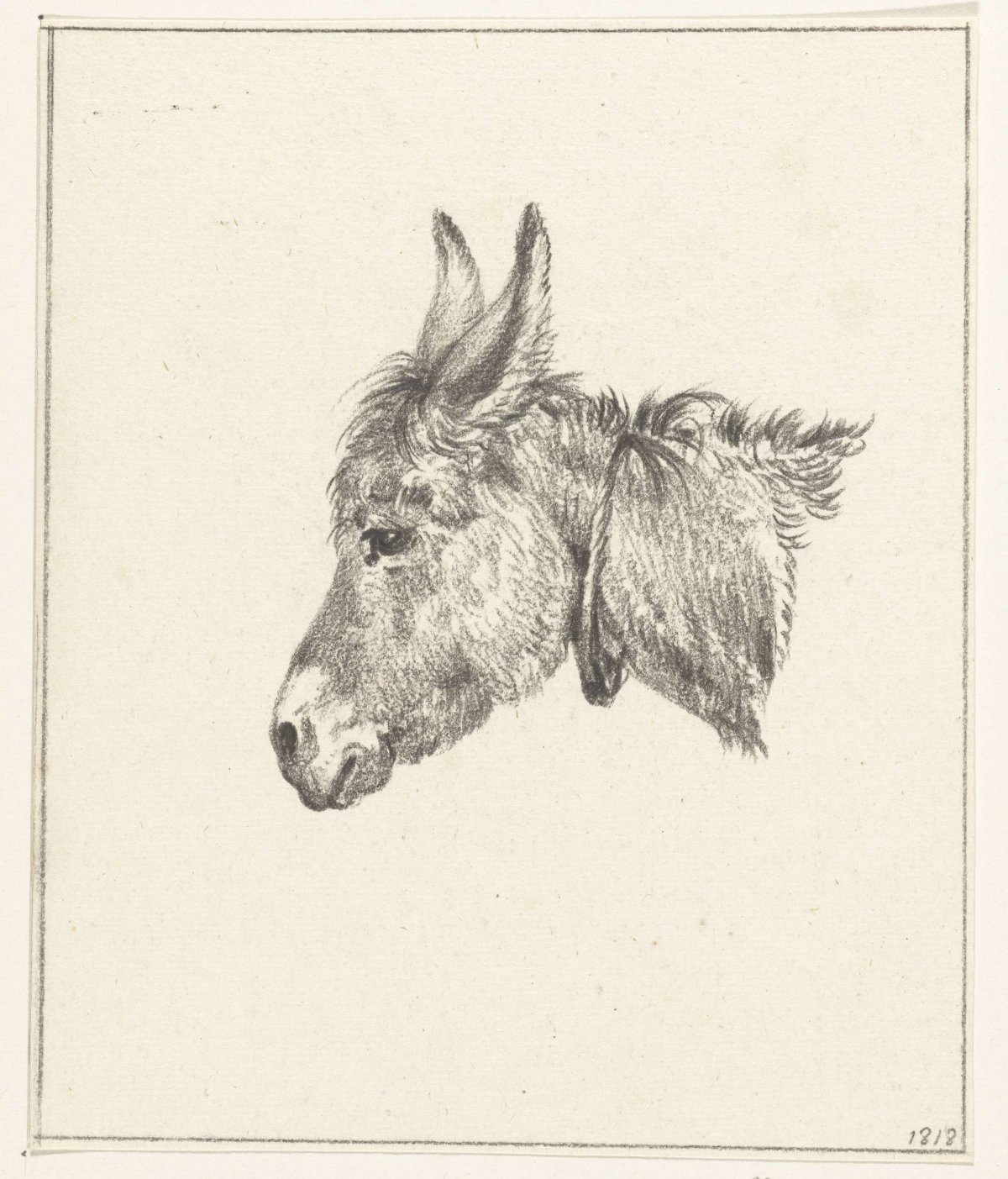 Head of a donkey, to the left, Jean Bernard, 1818