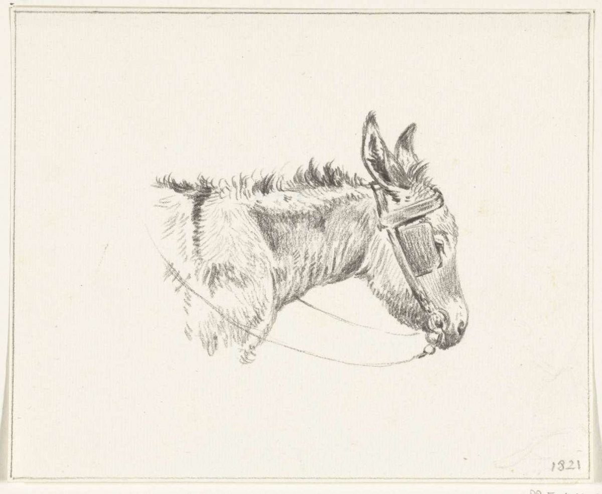 Head of a donkey, to the right, Jean Bernard, 1821