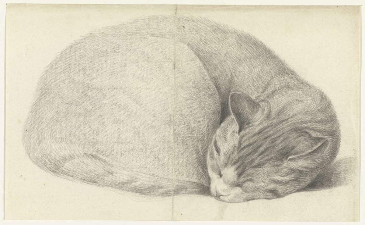 Opgerold liggende, slapende kat, Jean Bernard, c. 1775 - c. 1833