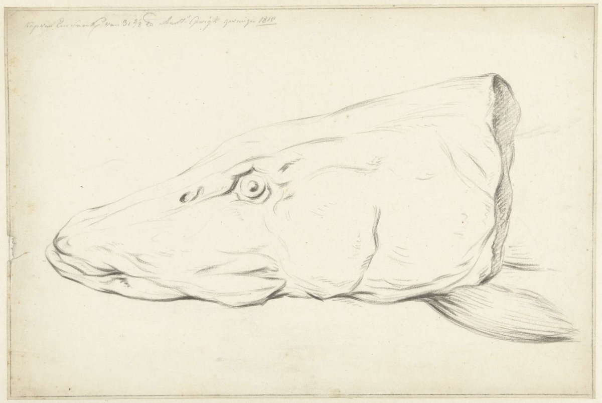 Head of a pike, Jean Bernard, 1815