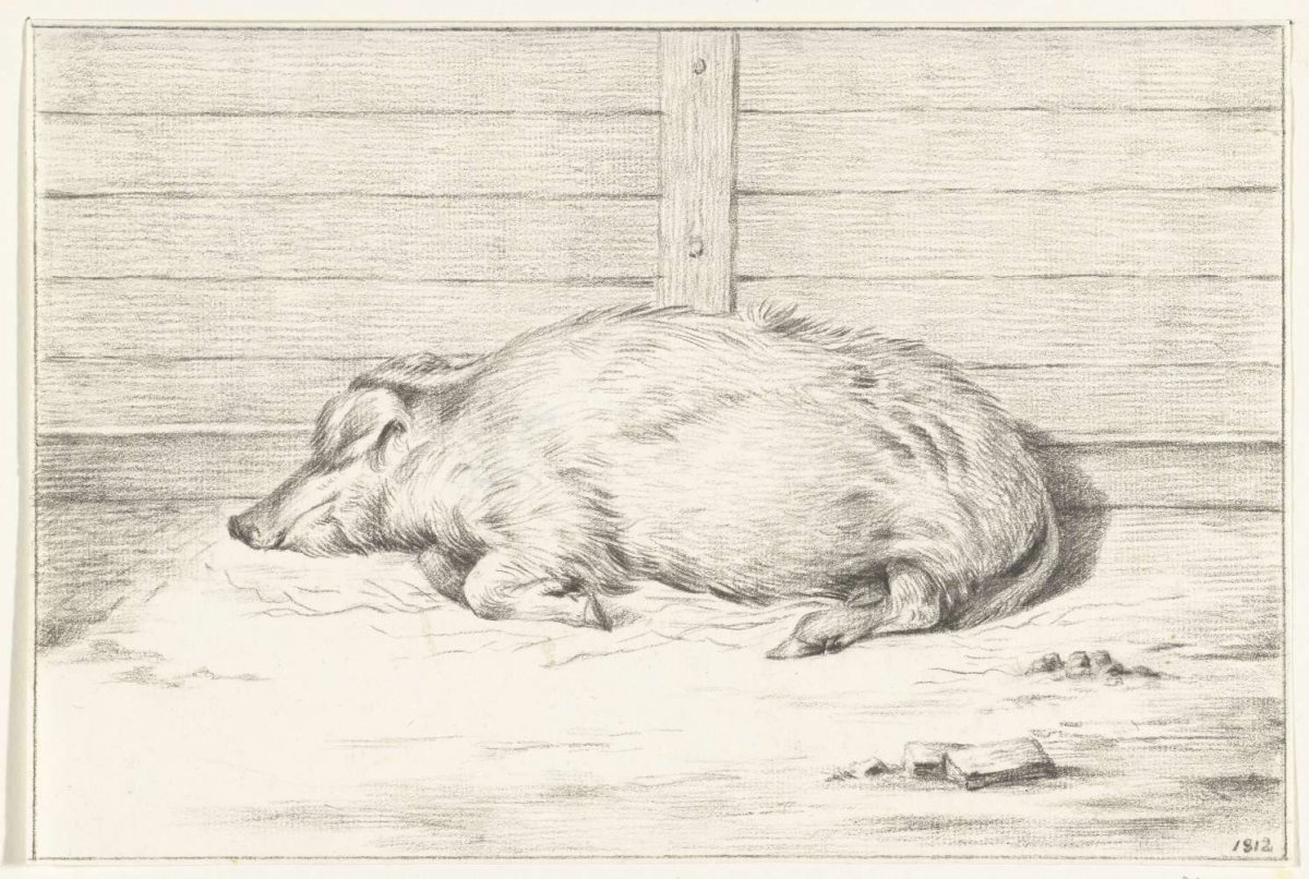 Lying pig, to left, against a shelter, Jean Bernard, 1812