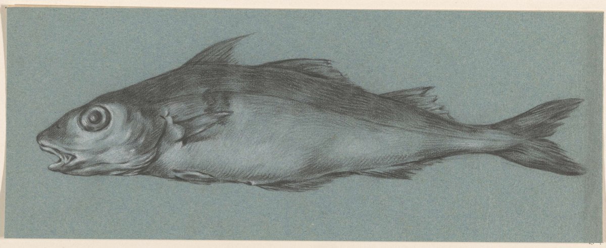 Fish, to the left, Jean Bernard, 1775 - 1833