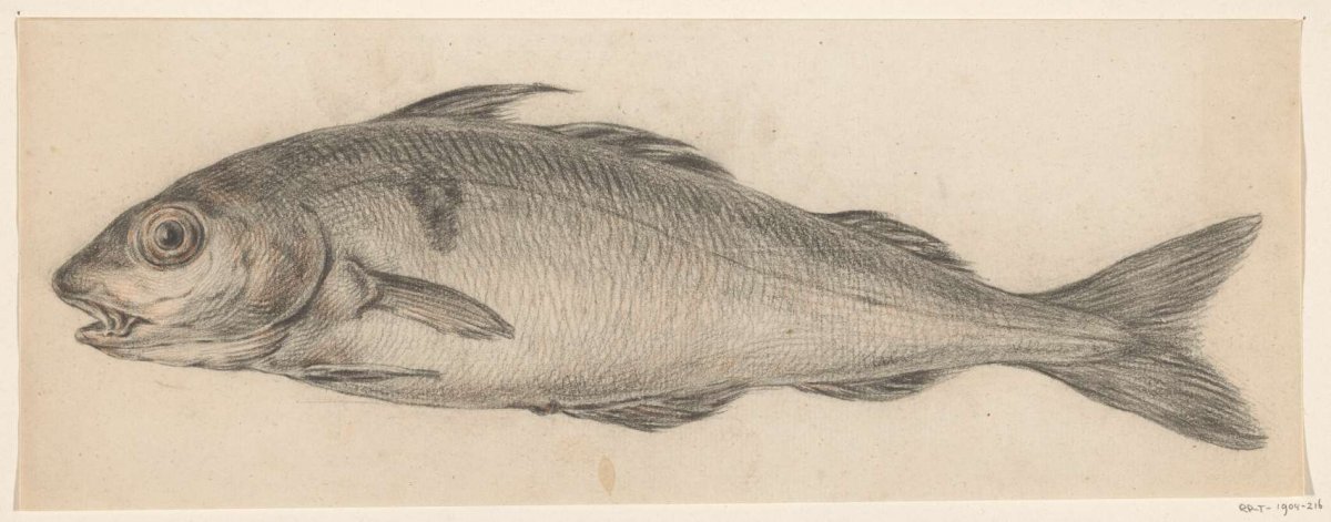 Fish, to the left, Jean Bernard, 1775 - 1833