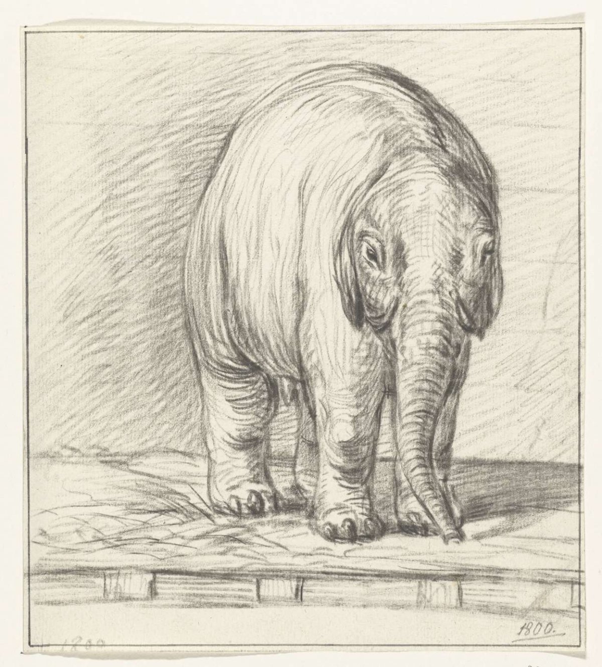 Standing elephant, Jean Bernard, 1800