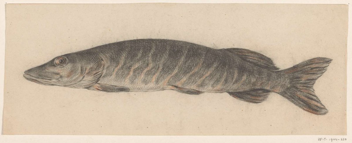 Pike, to the left, Jean Bernard, 1775 - 1833