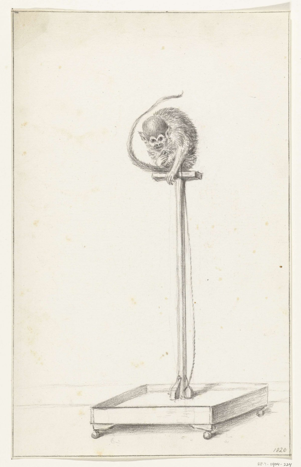 Monkey sitting on a pole in a bin, Jean Bernard, 1820