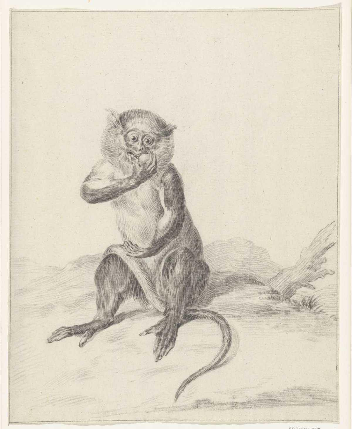 Sitting monkey, eating a fruit, Jean Bernard, 1775 - 1833