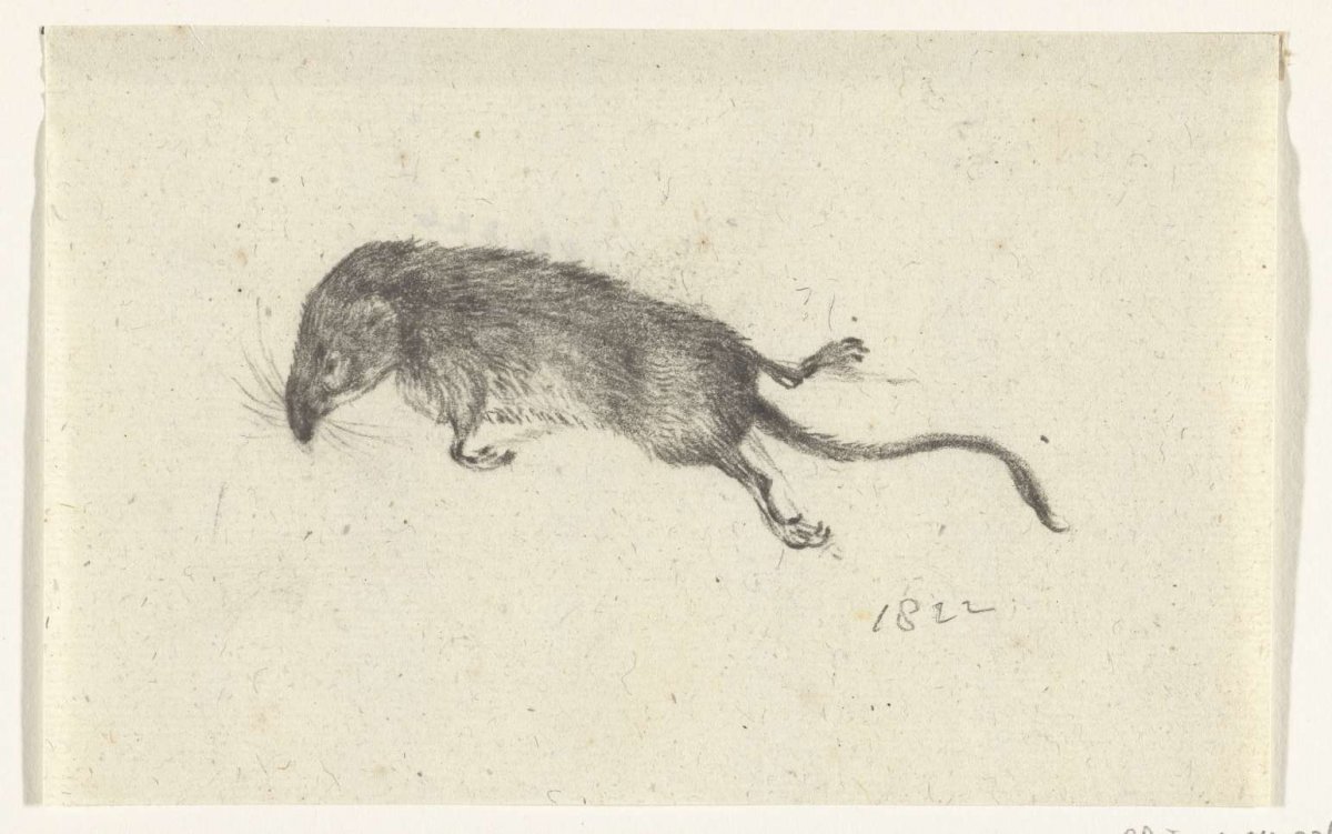 Dood muisje, Jean Bernard, 1822