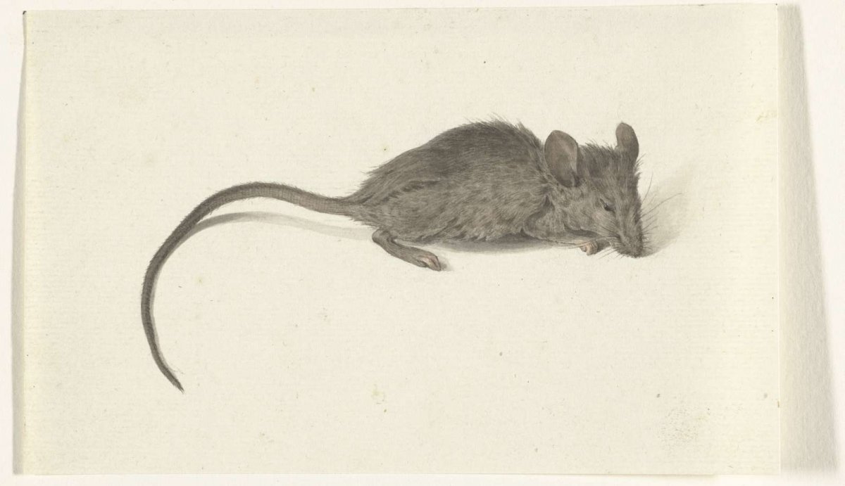 Mouse, to the right, Jean Bernard, 1775 - 1833