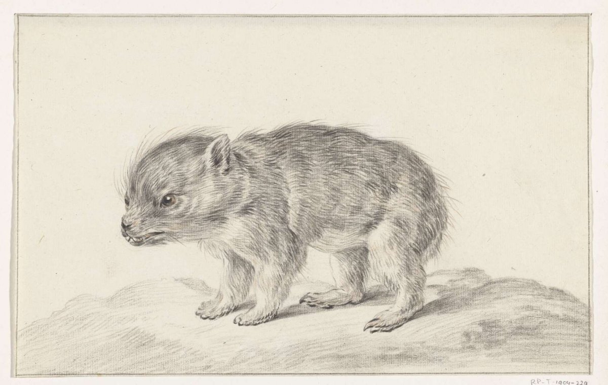 Jong beertje (?), Jean Bernard, 1775 - 1833