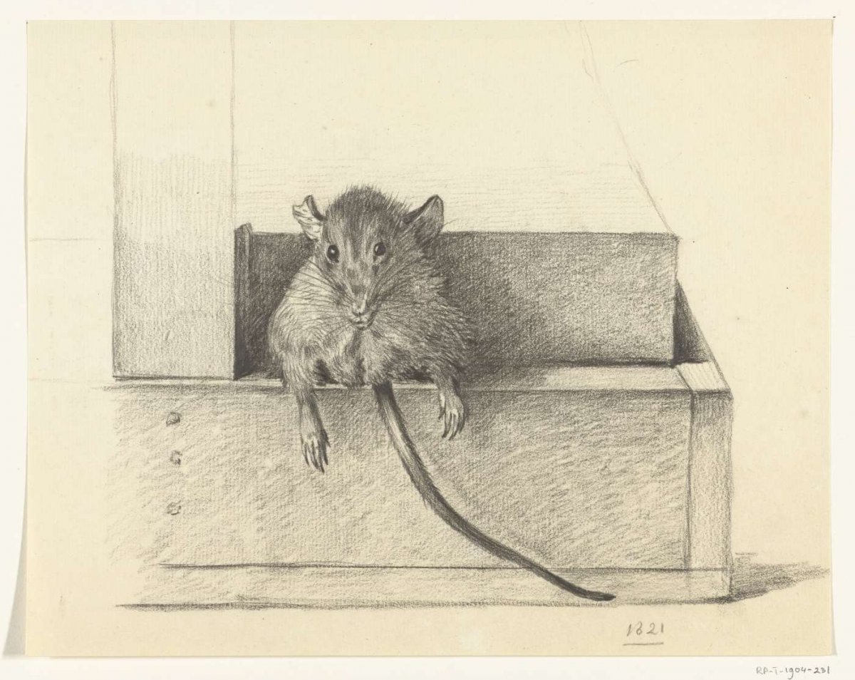 Mouse (in a trap?), Jean Bernard, 1821