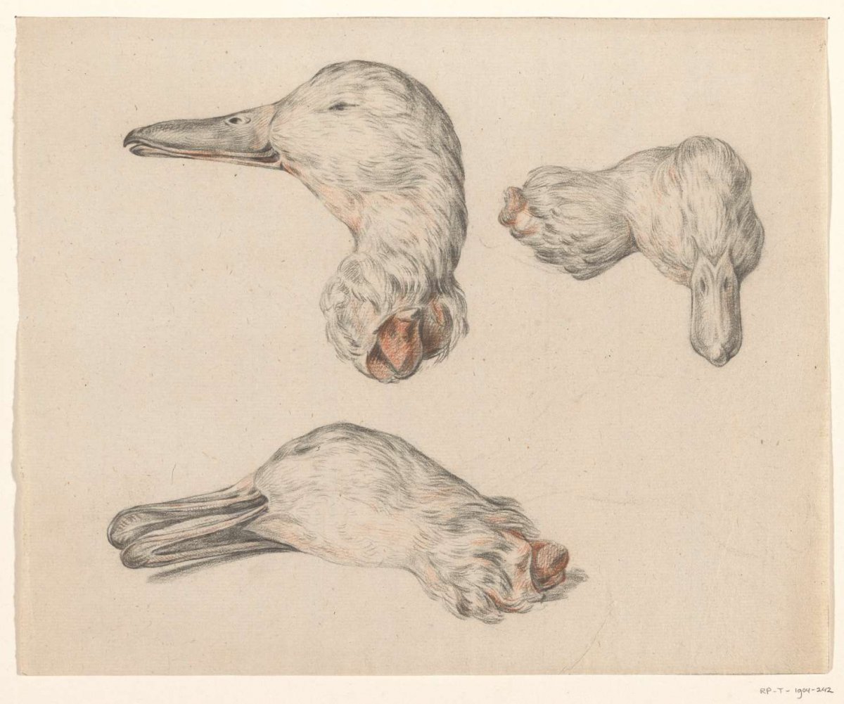 Severed head of a duck, Jean Bernard, 1775 - 1833