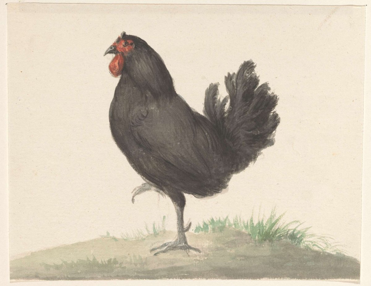 Standing black hen, Jean Bernard, 1775 - 1833