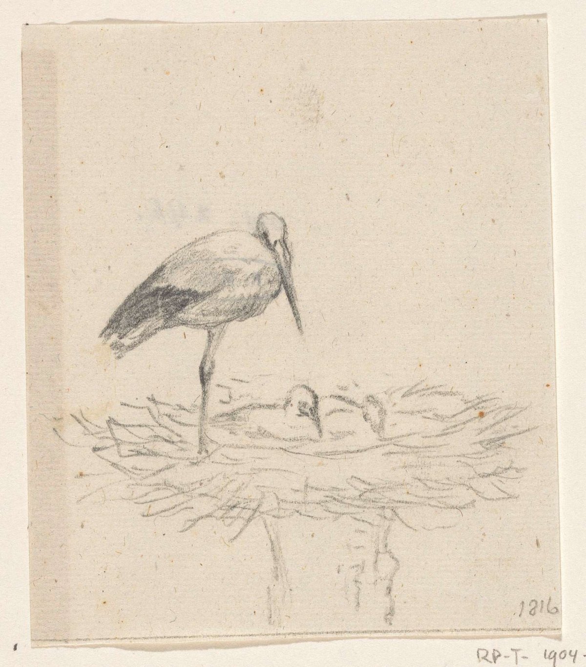 Stork on nest, Jean Bernard, 1816