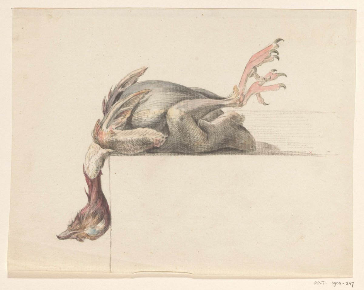 Plucked bird, head hanging down, Jean Bernard, 1775 - 1833