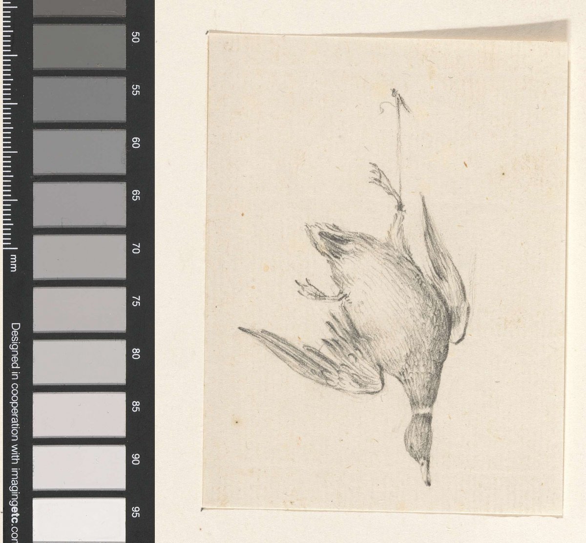 Duck, hanging from a rope, Jean Bernard, 1775 - 1833