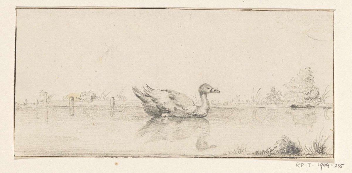 Duck in the water, Jean Bernard, 1775 - 1833