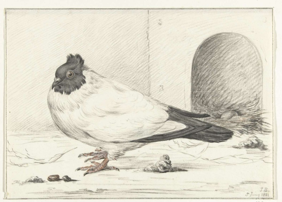 Pigeon and a nest with an egg, Jean Bernard, 1801