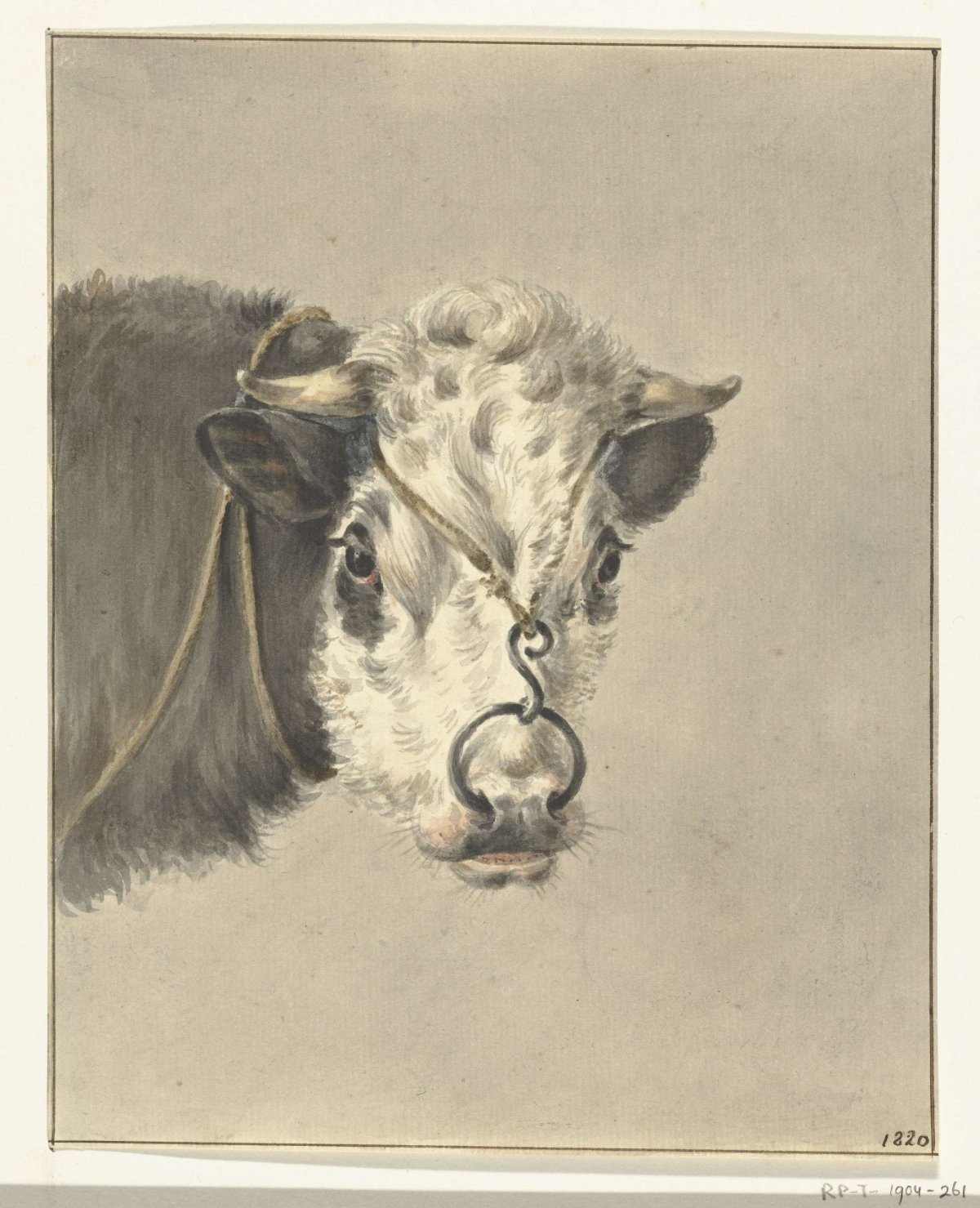 Head of a cow, with a ring through the nose, from the front, Jean Bernard, 1820