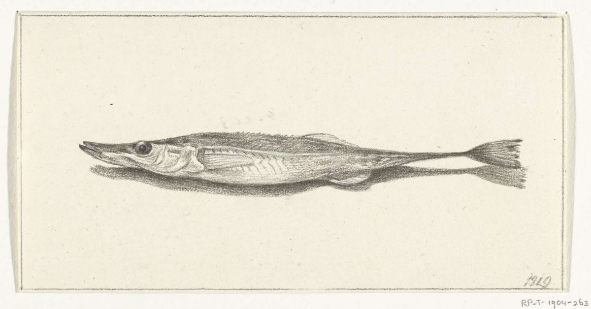 Vis, Jean Bernard, 1819