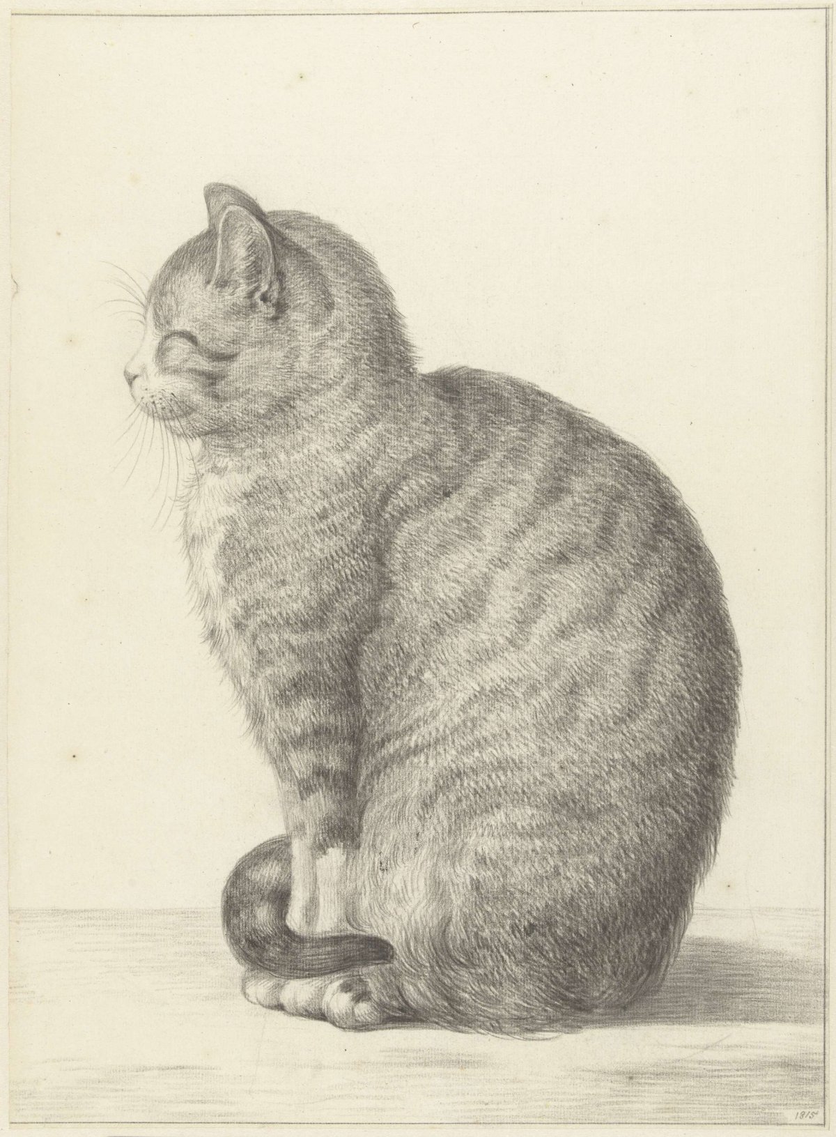 Sitting cat, facing left, Jean Bernard, 1815