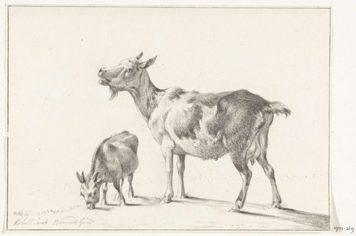 Goat with young, Jean Bernard, 1775 - 1833