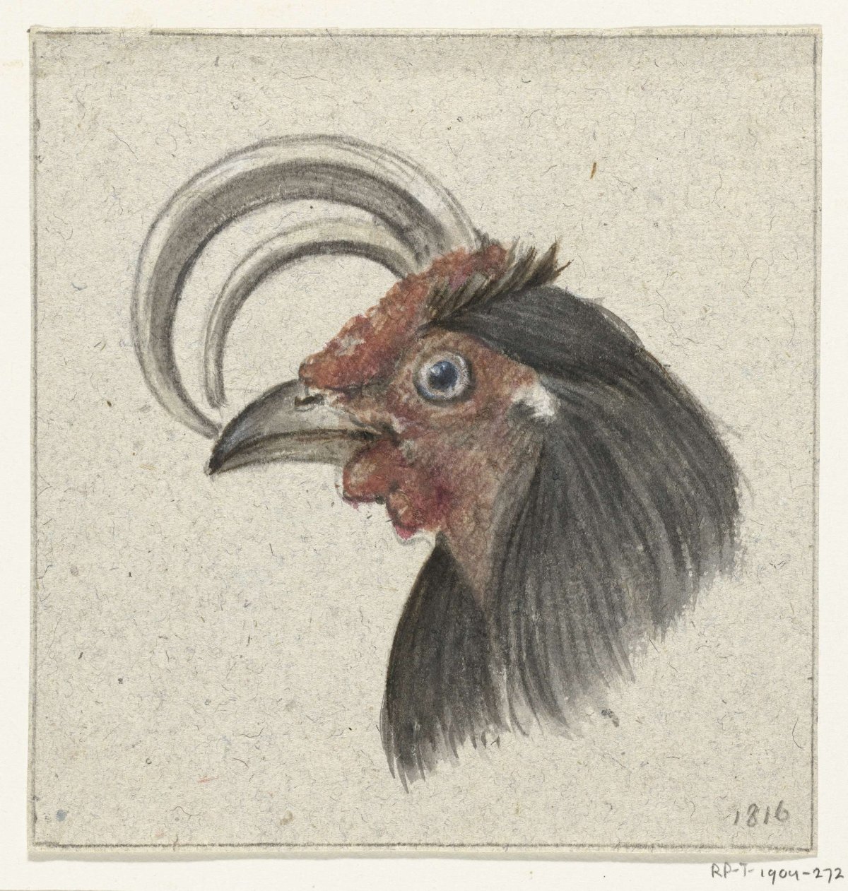 Head of a rooster, Jean Bernard, 1816