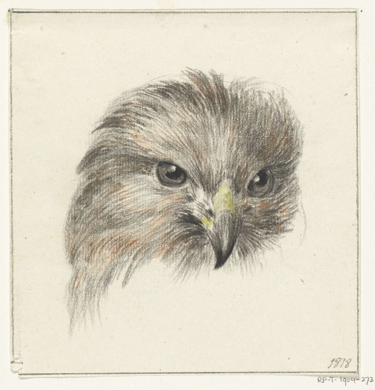 Head of a bird of prey, Jean Bernard, 1818