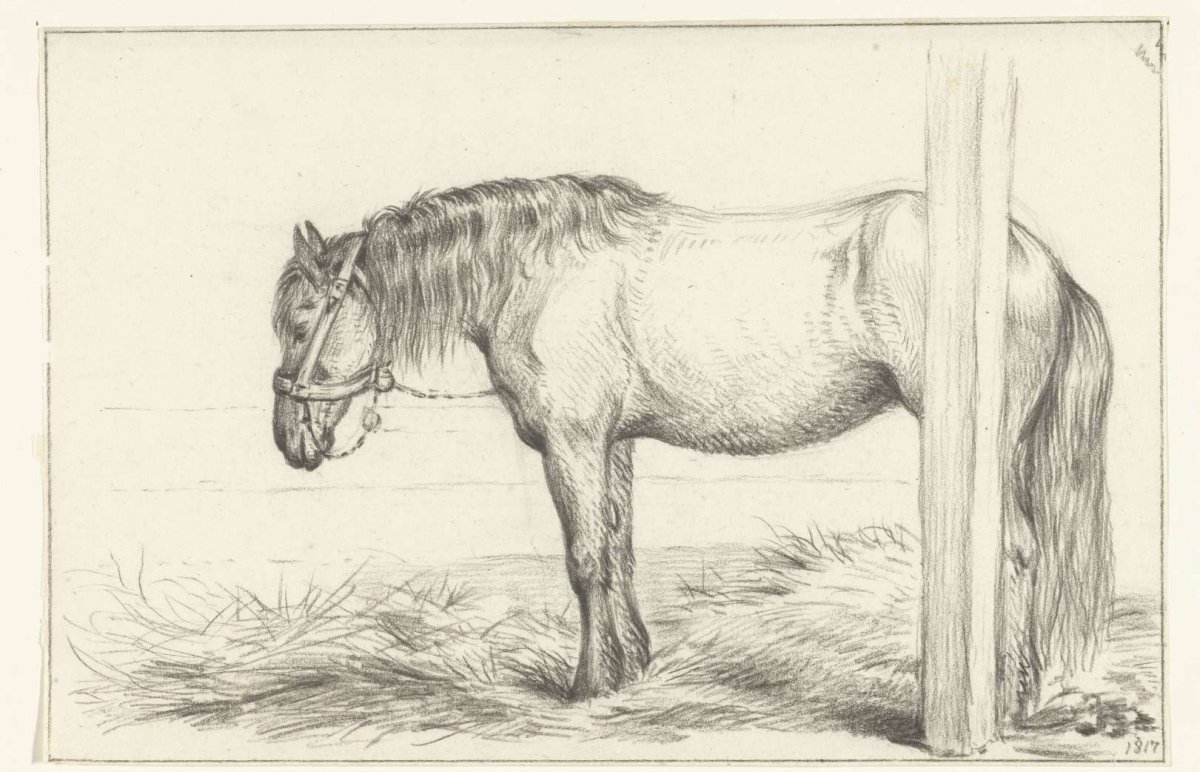 Standing horse in stable, facing left, Jean Bernard, 1817
