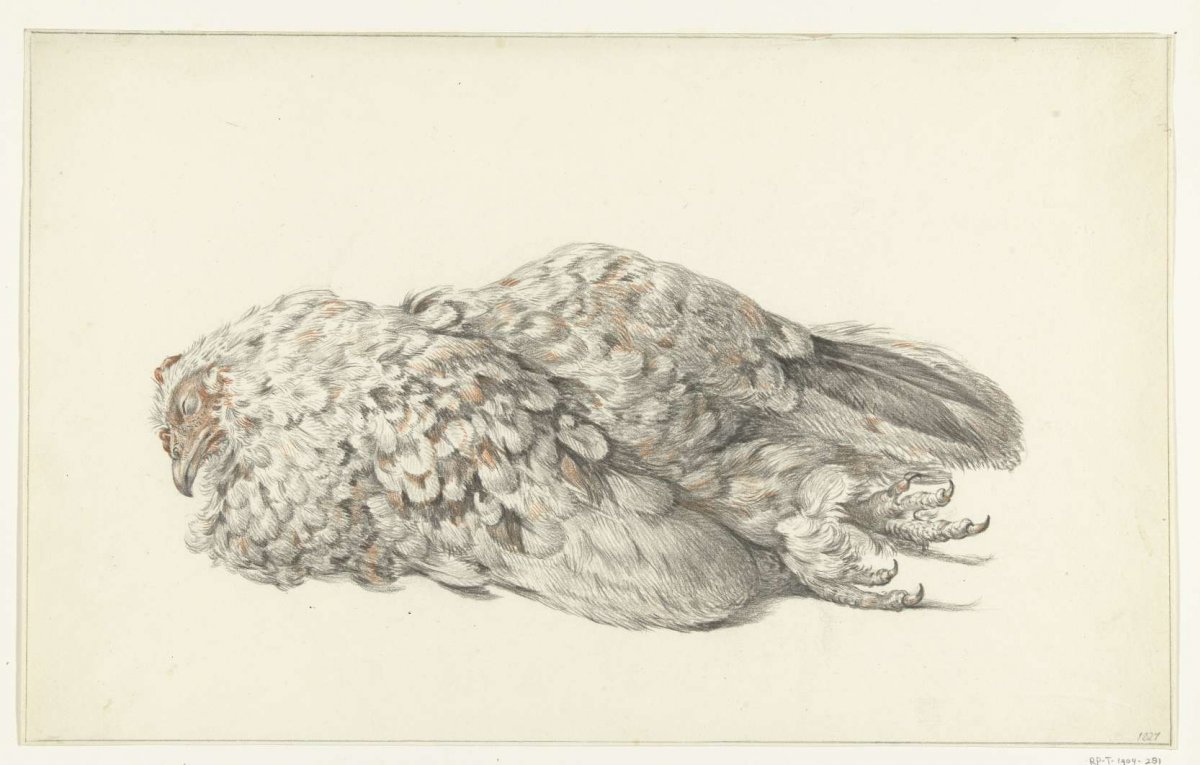 A dead chicken, Jean Bernard, 1827