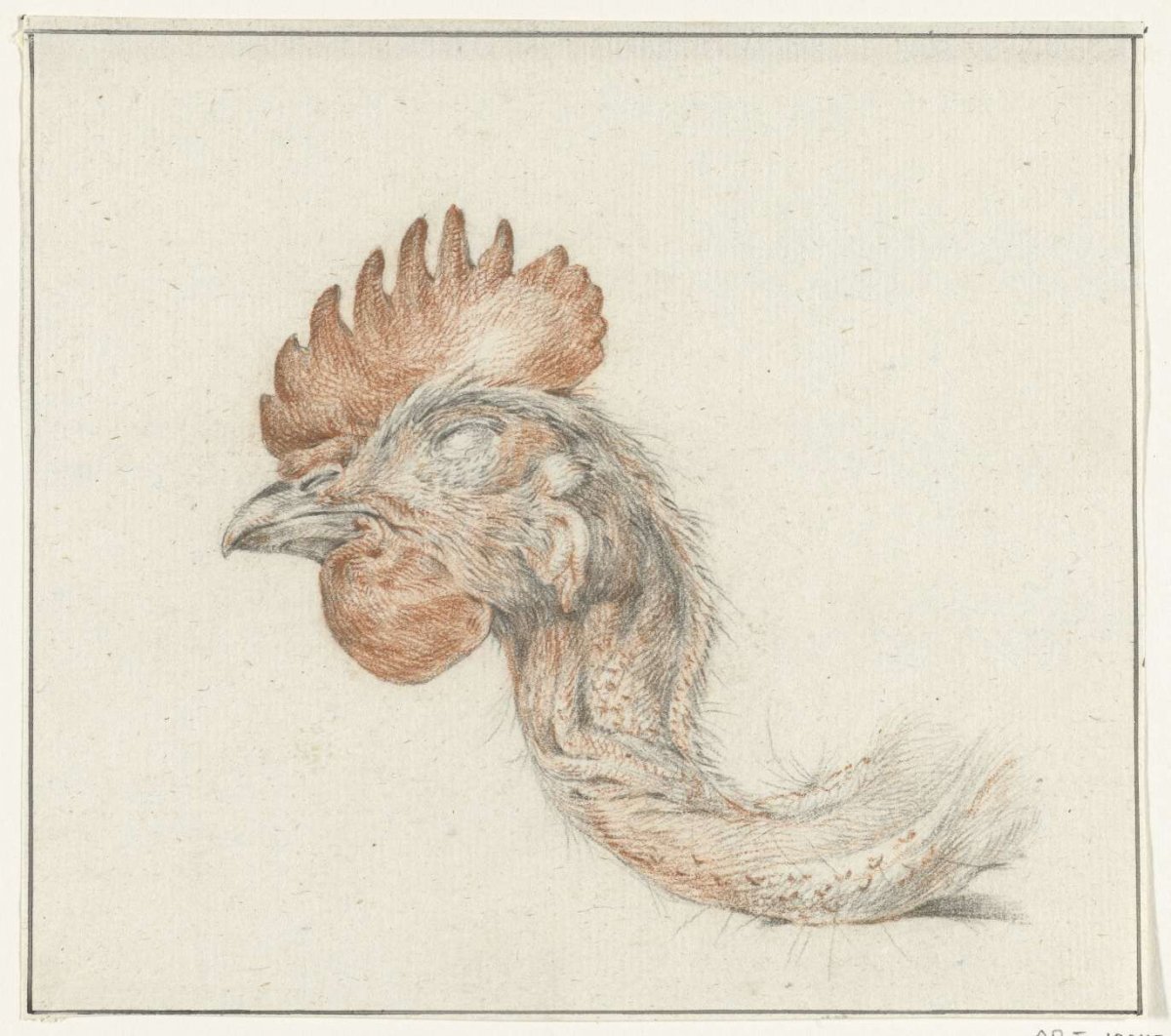 Head of a dead chicken, Jean Bernard, 1775 - 1833