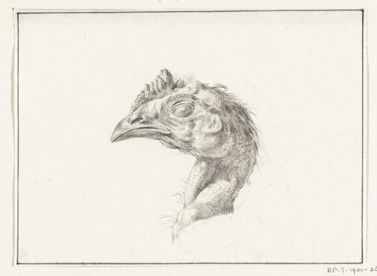 Head of a dead chicken, Jean Bernard, 1775 - 1833