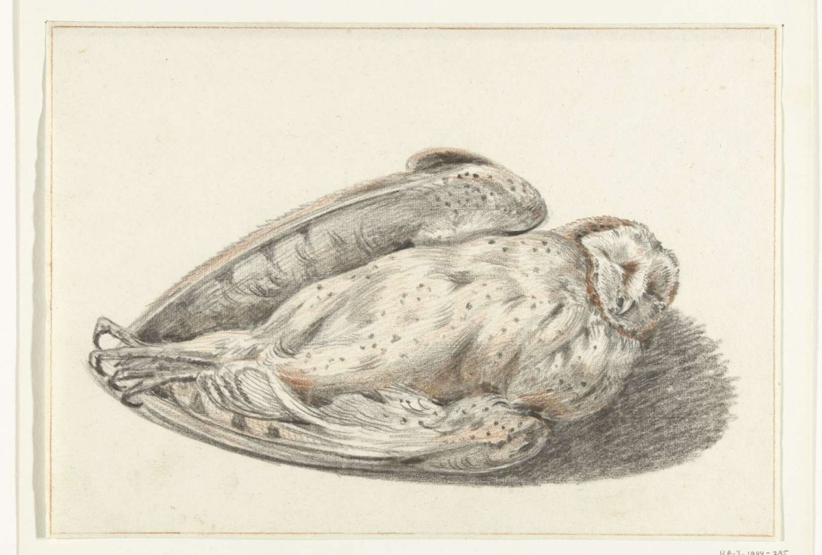 Dode uil, Jean Bernard, 1775 - 1833