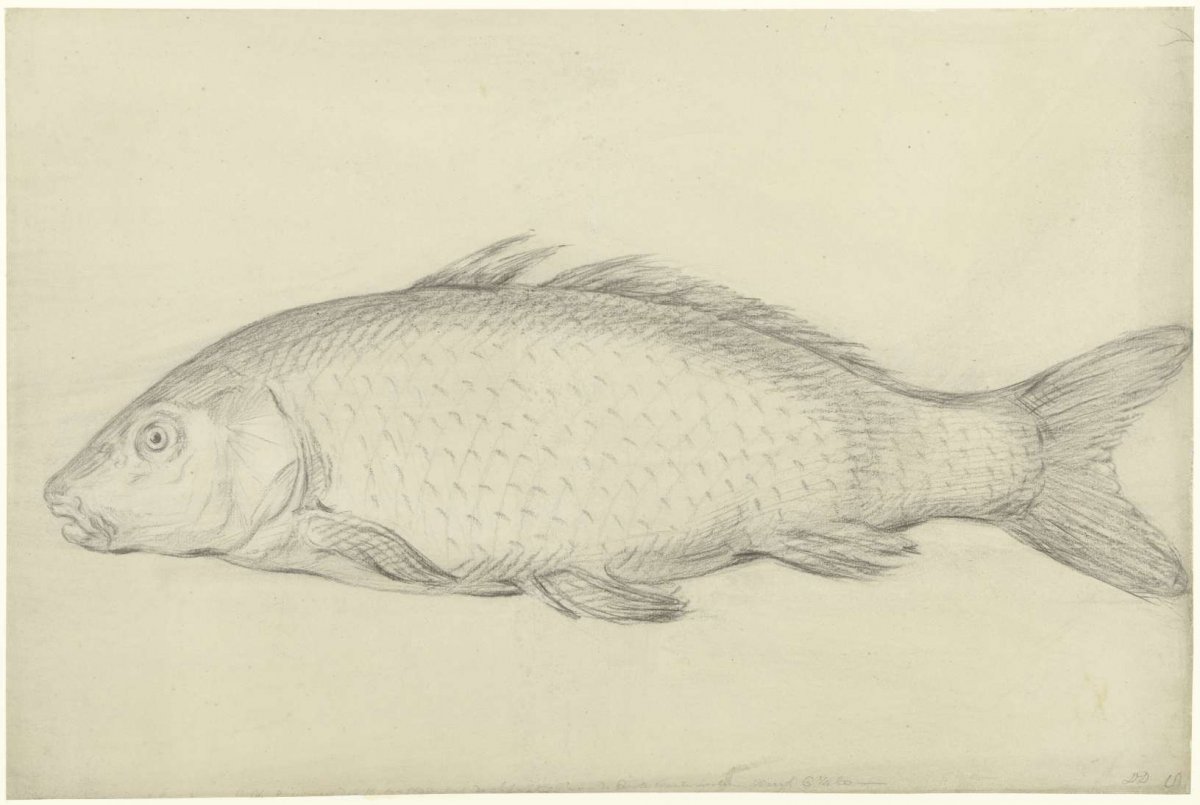 Vis, Jean Bernard, 1795