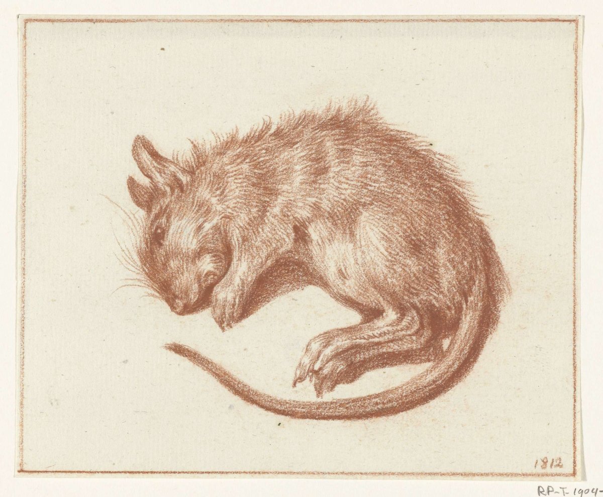 Dode rat, Jean Bernard, 1812