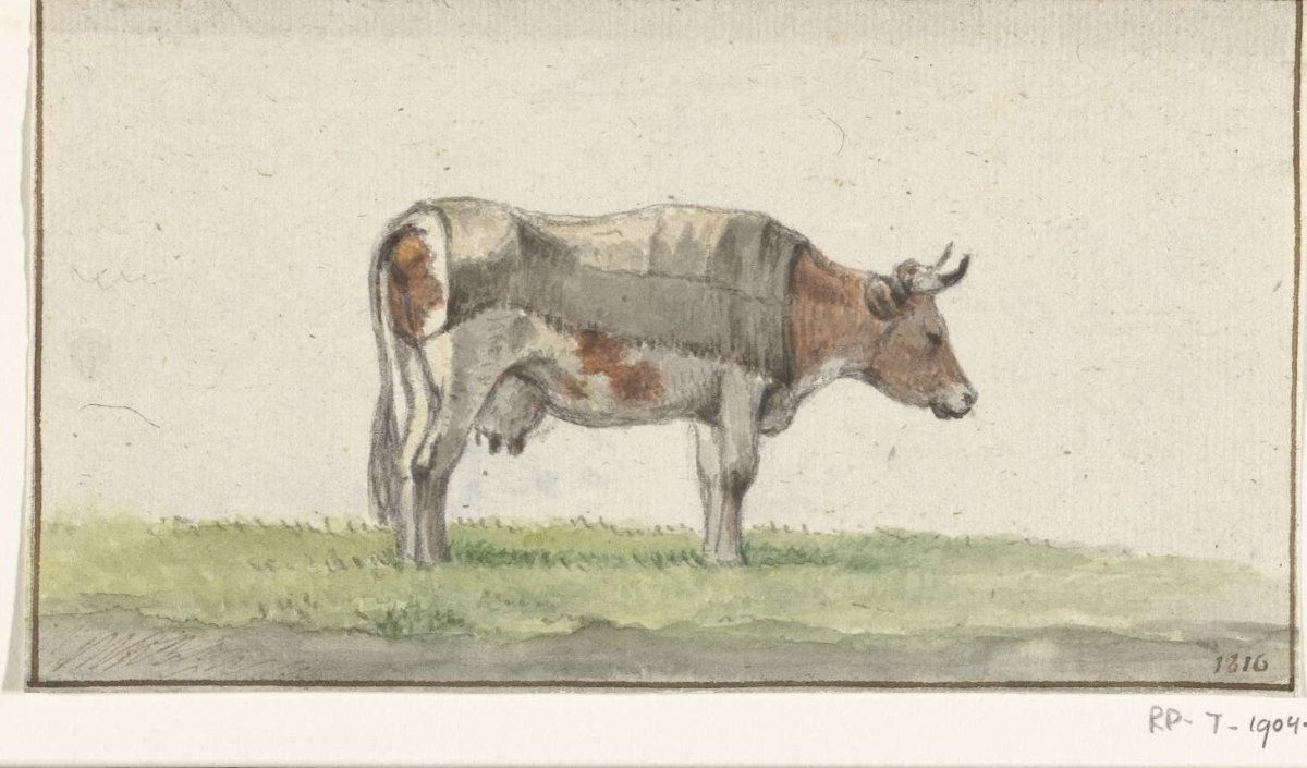 Standing cow, to the right, Jean Bernard, 1816