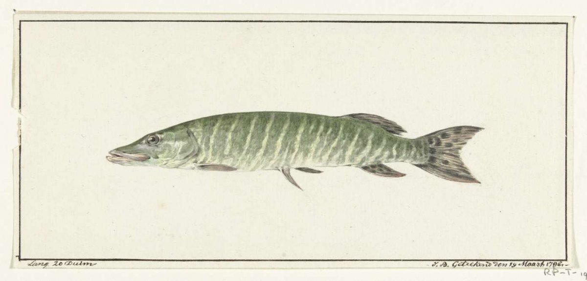 Snoek, Jean Bernard, 1796