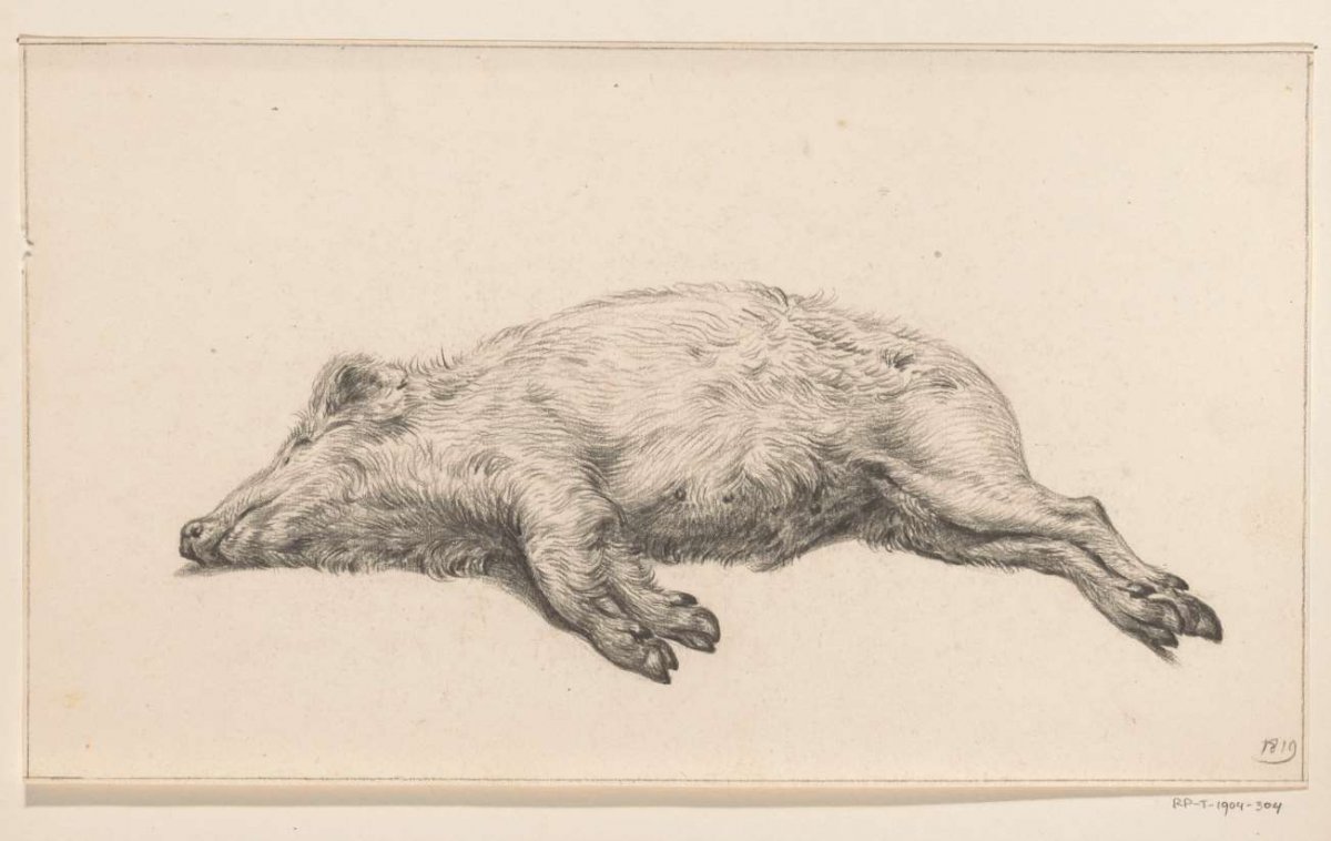 Reclining pig, to the left, Jean Bernard, 1819