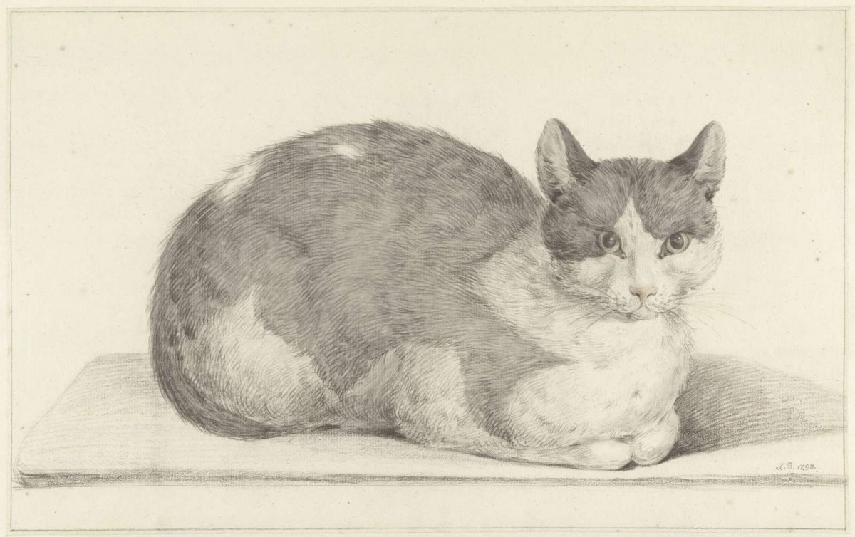 Sitting cat, to the right, Jean Bernard, 1798