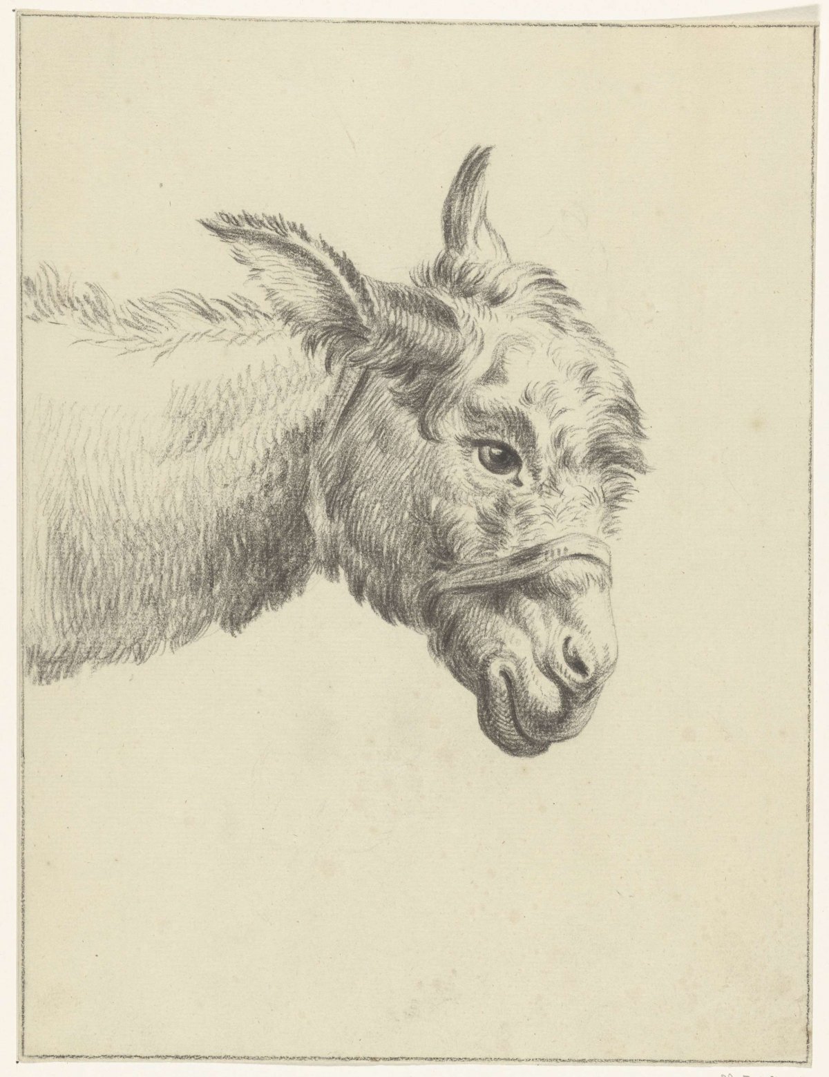 Head of a donkey, to the right, Jean Bernard, 1775 - 1833